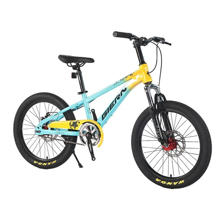 Hardtail Single Speed Mountain Bike