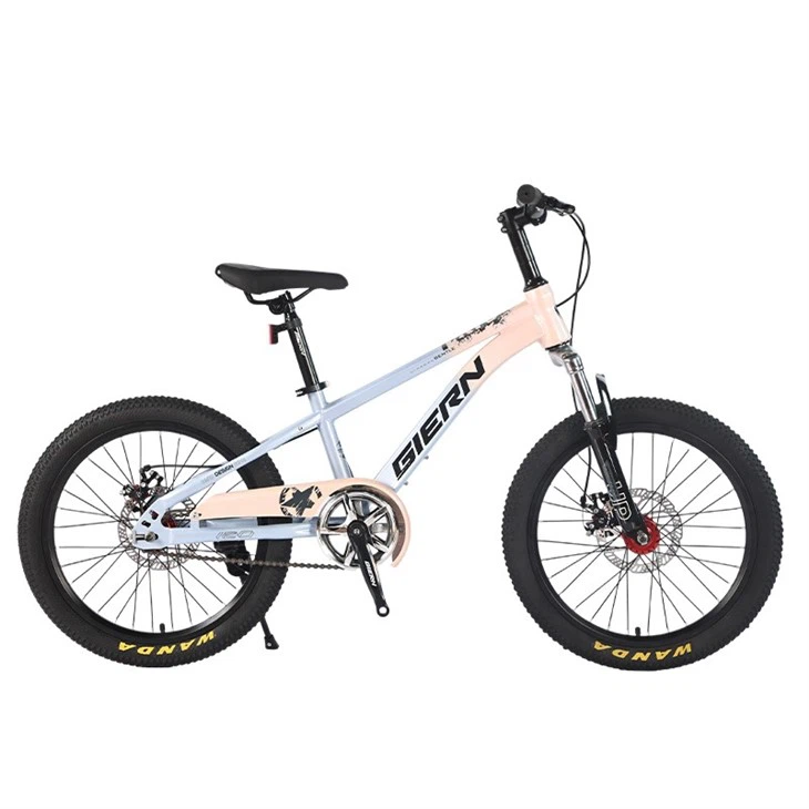 Hardtail Single Speed Mountain Bike