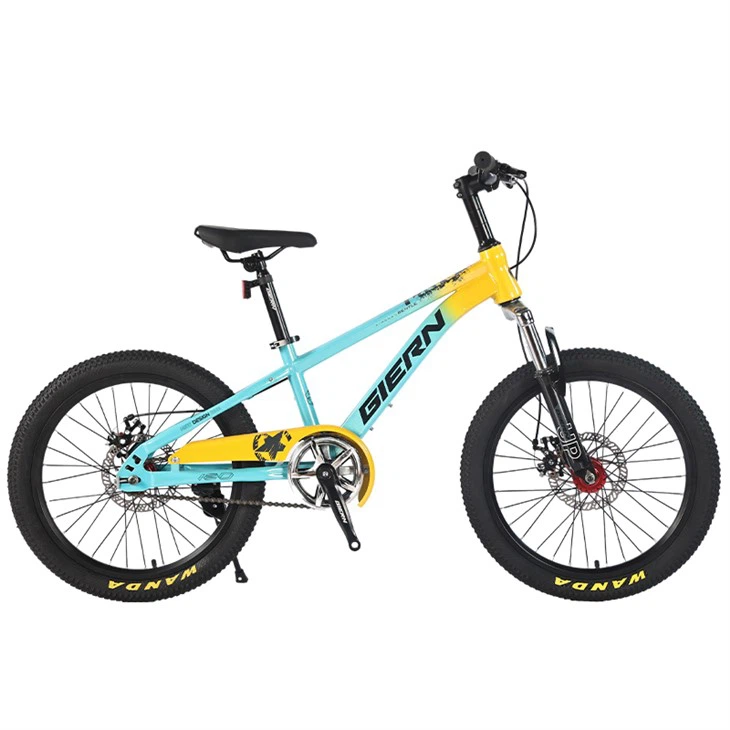 Hardtail Single Speed Mountain Bike