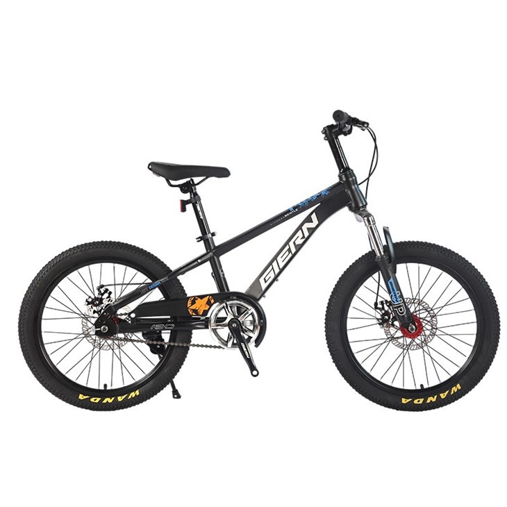Hardtail Single Speed Mountain Bike
