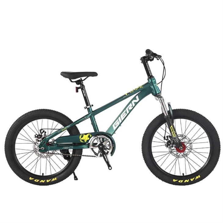 Hardtail Single Speed Mountain Bike
