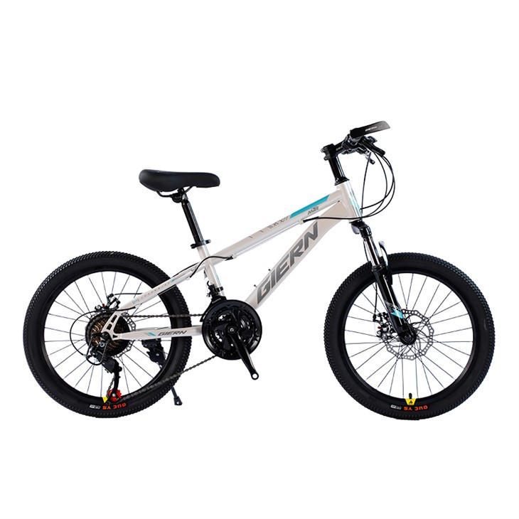 Hardtail Touring Bike