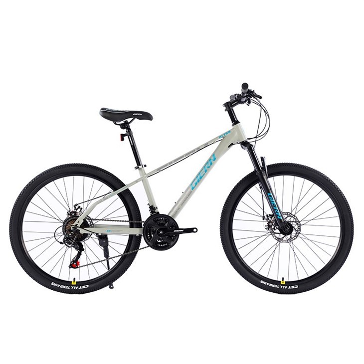 High Carbon Steel Mountain Bike
