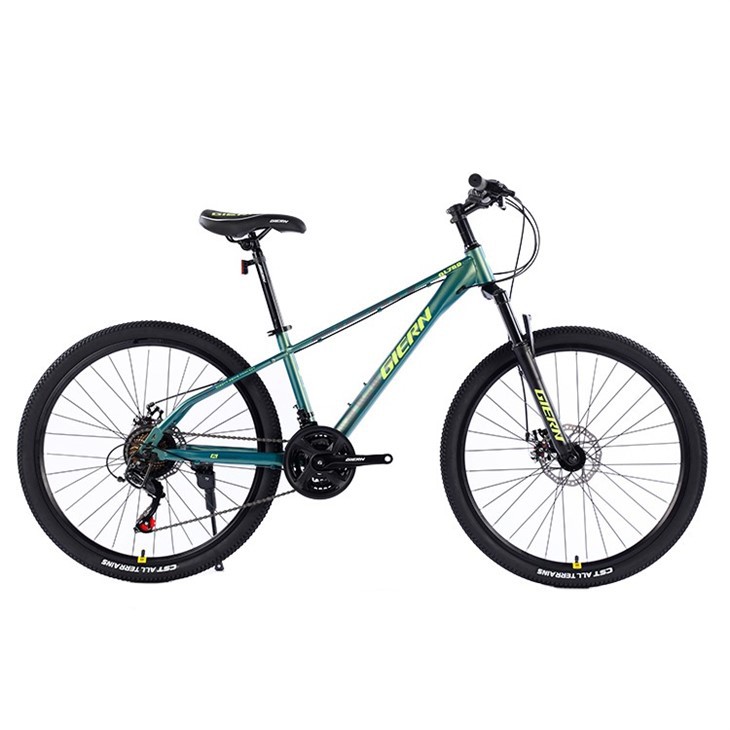 High Carbon Steel Mountain Bike