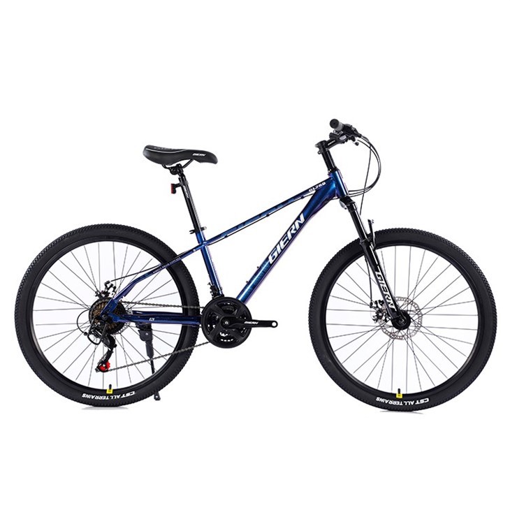 High Carbon Steel Mountain Bike