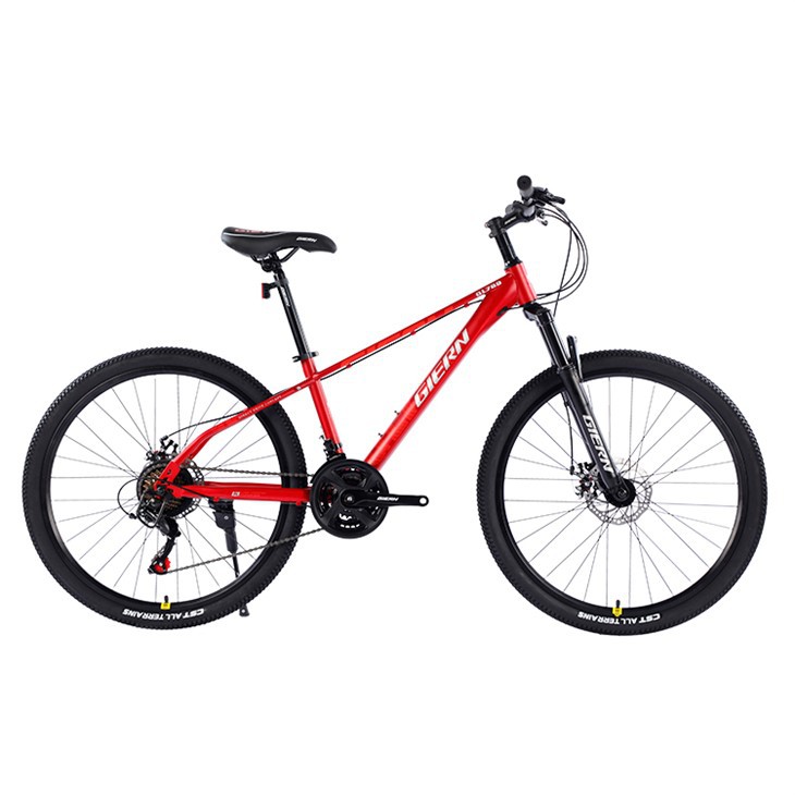 High Carbon Steel Mountain Bike