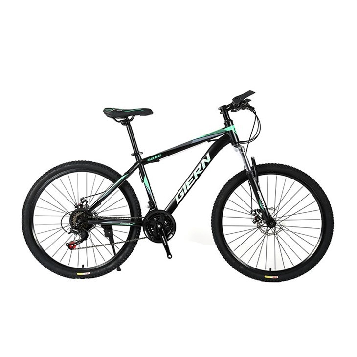 Ladies Hardtail Mountain Bike