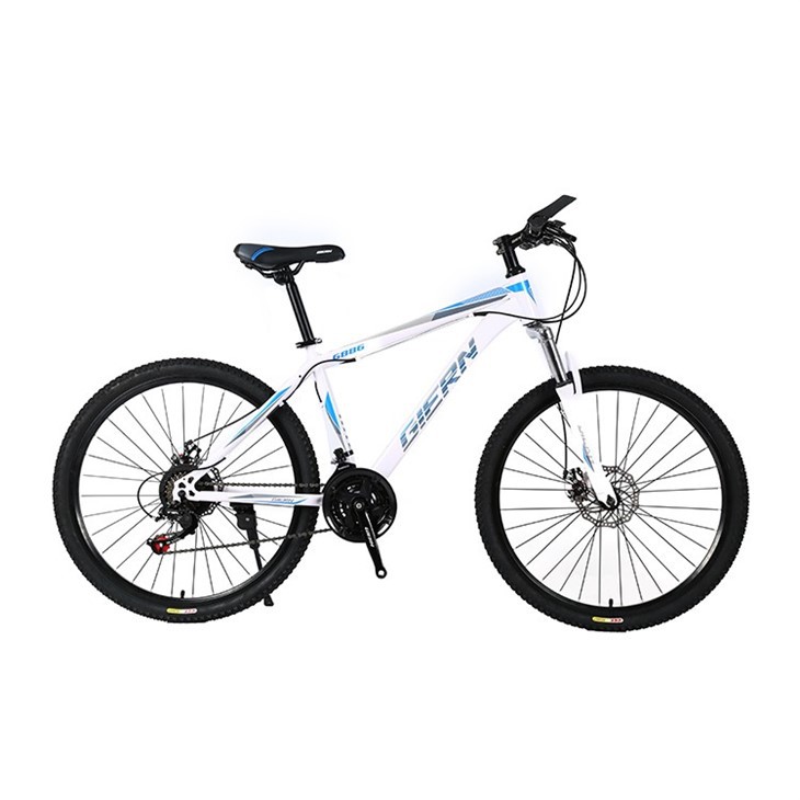 Ladies Hardtail Mountain Bike