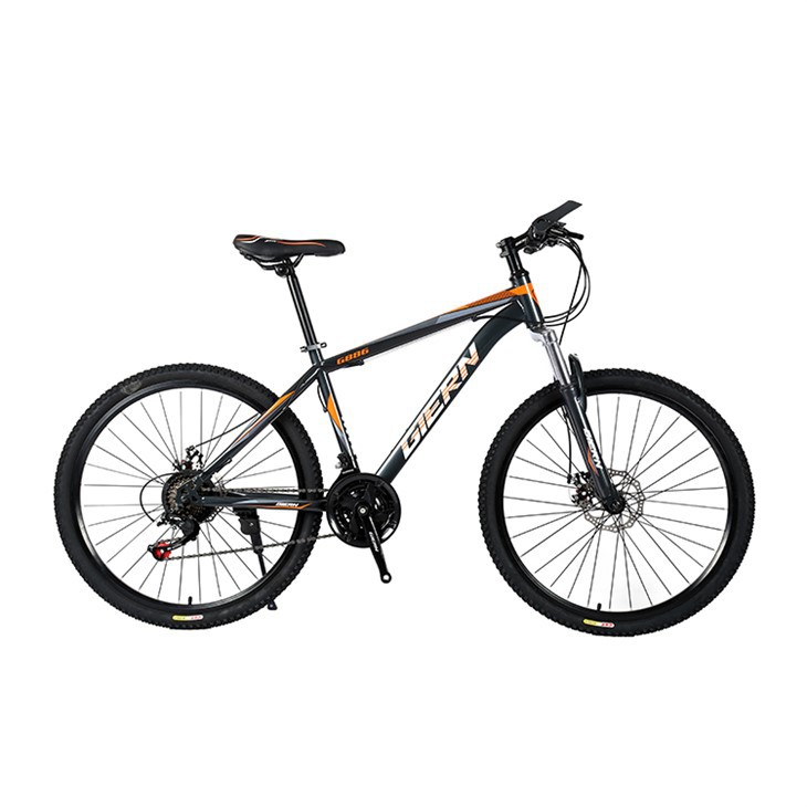 Ladies Hardtail Mountain Bike