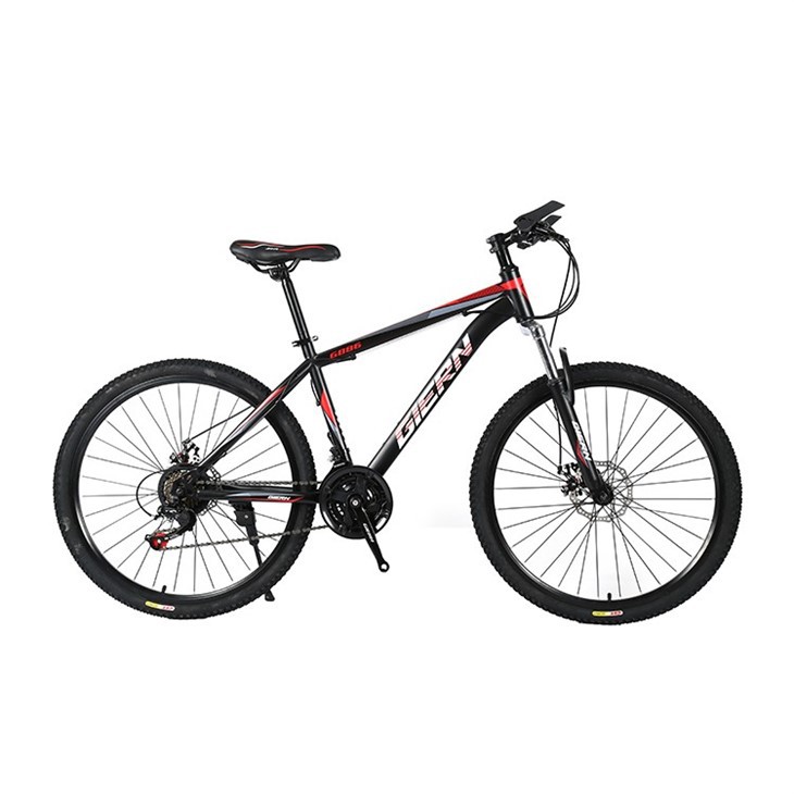 Ladies Hardtail Mountain Bike