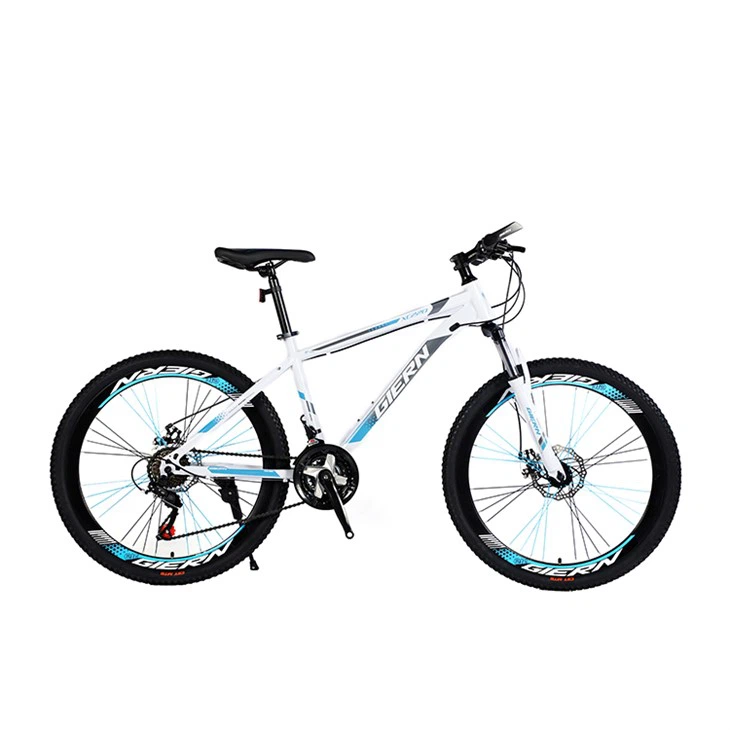 Men's Aluminum Mountain Bike MTB