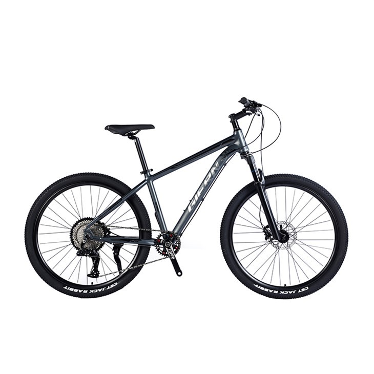 Men's Aluminum Mountain Bike