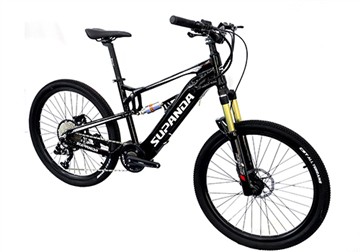 What Are The Differences And Advantages Of Different Electric Bicycle Batteries？