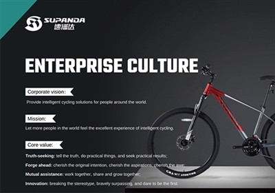 Why Choose Mountain Bikes From Tianjin Panda Group？