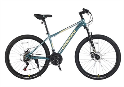 Cheap Mountain Bikes, And Why You Don't Want One.