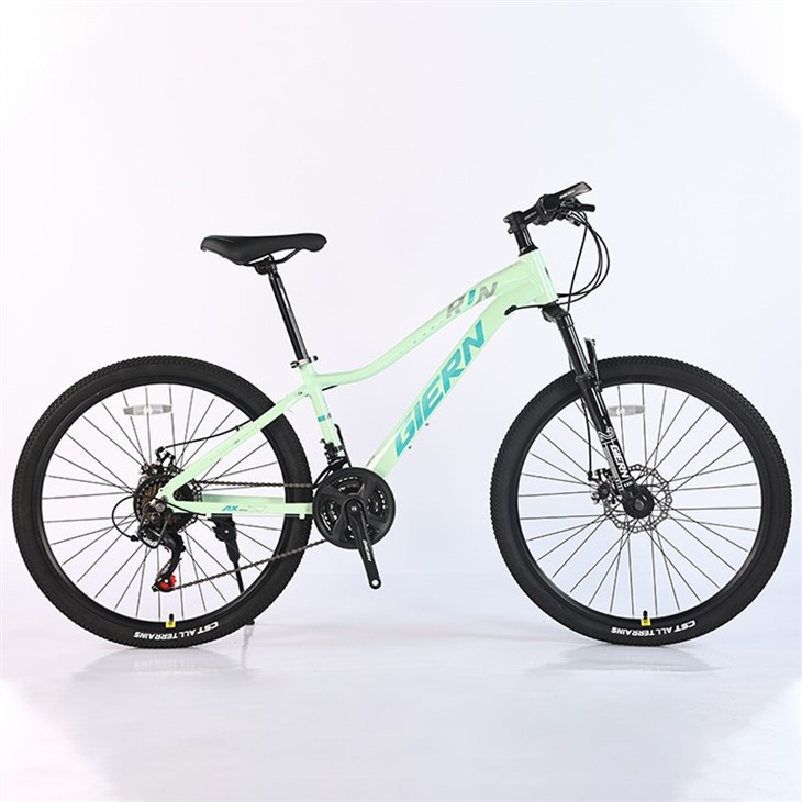 Pink Mountain Bike 26 Inch