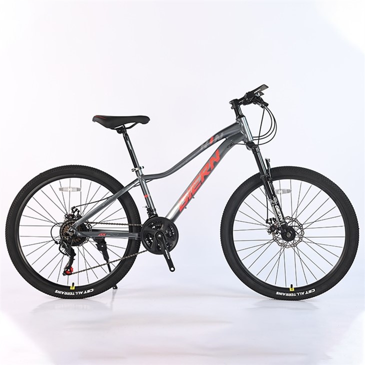 Pink Mountain Bike 26 Inch