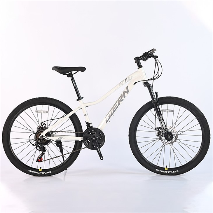 Pink Mountain Bike 26 Inch