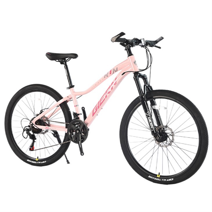 Pink Mountain Bike 26 Inch