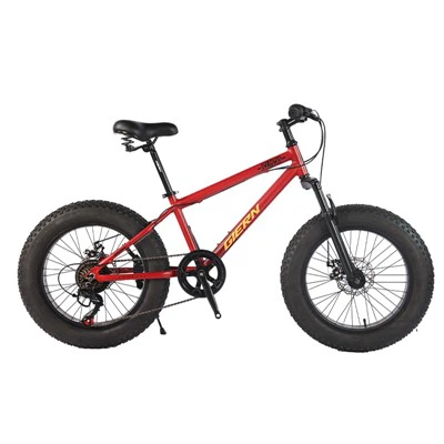 20 Fat Tire Mountain Bike