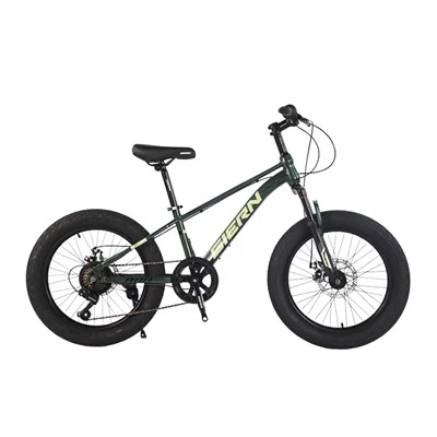 20 Inch Youth Mountain Bike