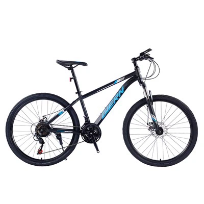 21 Speed Mountain Bike