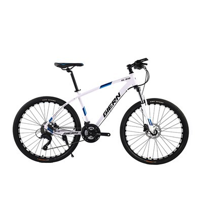 24 Hardtail Mountain Bike