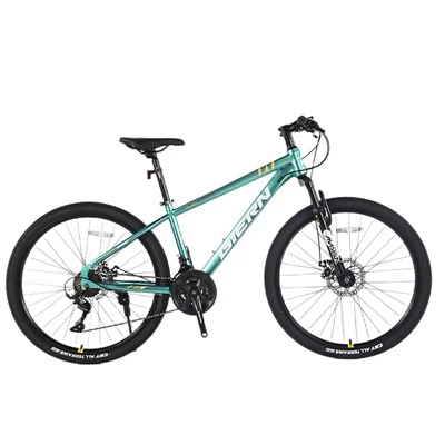 24 Speed MTB