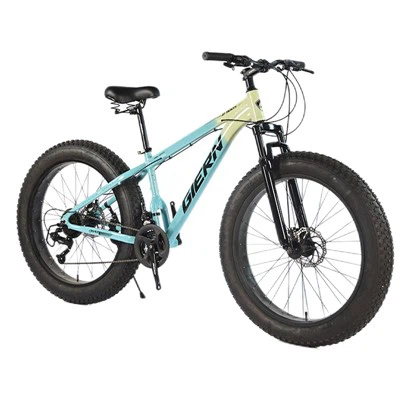 26 Inch Fat Tire Mountain Bike