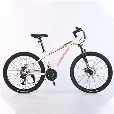 26 Mtb Hardtail Frame