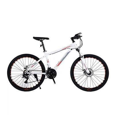 29 Aluminum Mountain Bike