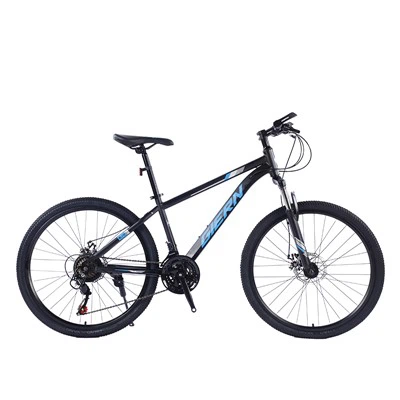 29 Inch Aluminum Mountain Bike