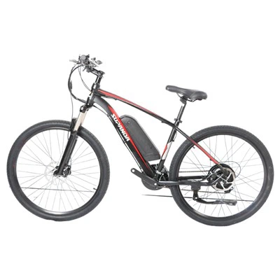 29 Inch Electric Mountain Bike