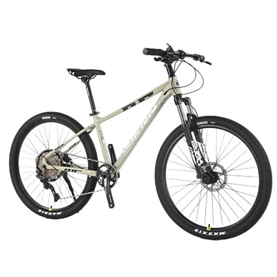 Affordable Hardtail Mountain Bike