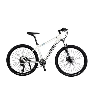 Aluminum Alloy Hardtail Mountain Bike