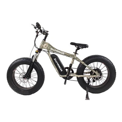 Battery Powered Mountain Bike