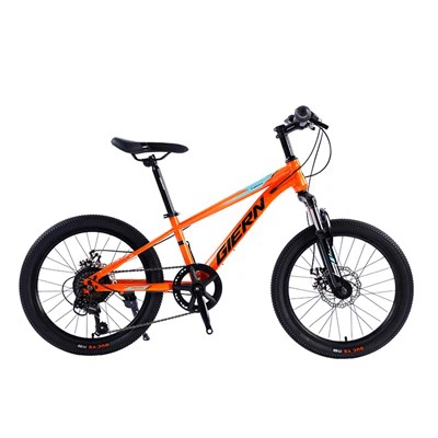 Cross Mountain Bike