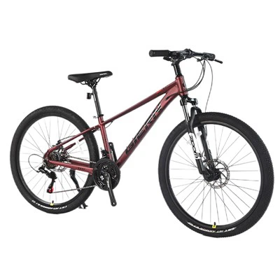 Downcountry Hardtail Mtb