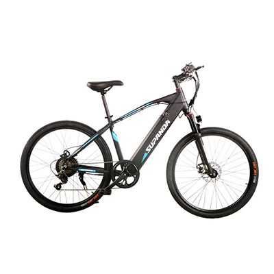 Ebike Mountainbike