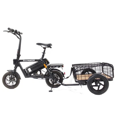 Electric Fat Tyre Mountain Bike