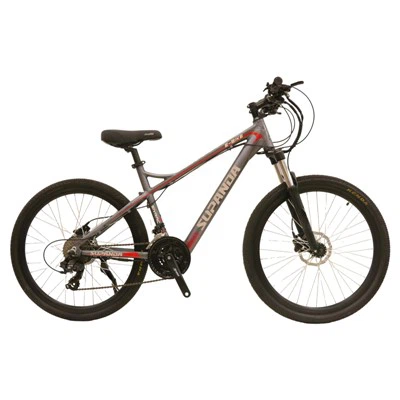 Enduro Electric Mountain Bike