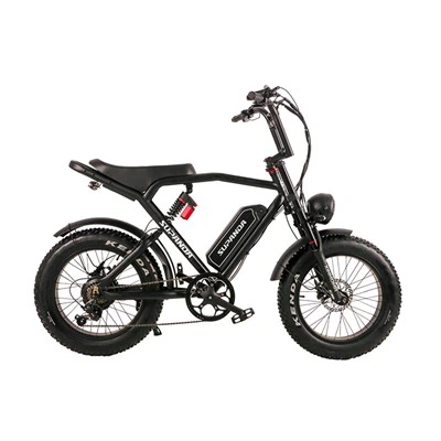 Fat Tyre Electric Bike