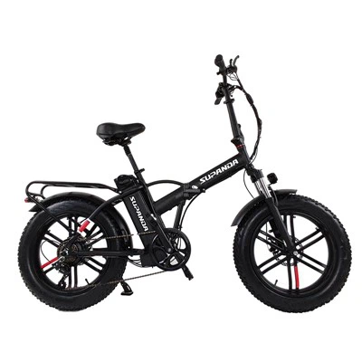 Folding E Mountain Bike