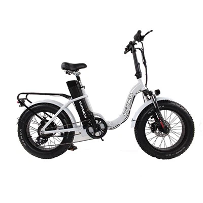 Folding Mountain Bike Electric