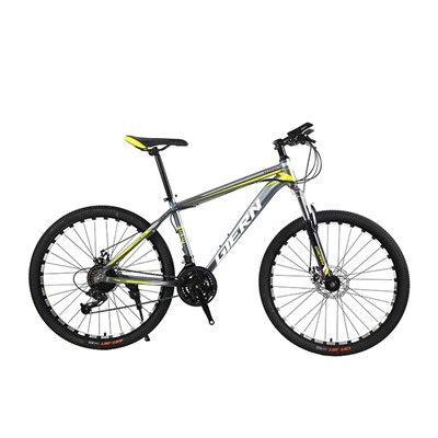 Front Suspension Mountain Bike