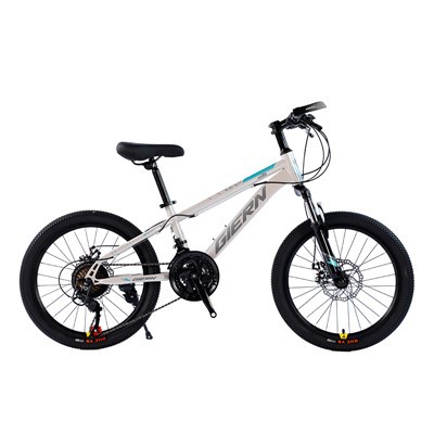 Hardtail Touring Bike