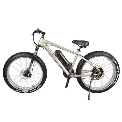 Men Mountain Electric Bike