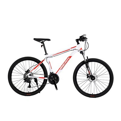 Men's Aluminum Frame Mountain Bike