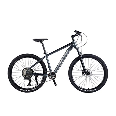 Men's Aluminum Mountain Bike