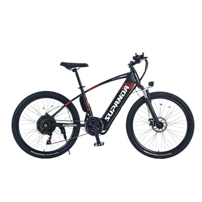 Men's Mountain Electric Bike